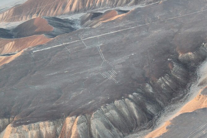 8-Day Enigmas of Peru - Day 3: Ballestas Islands and the Paracas Coast