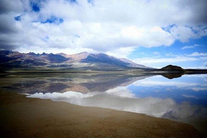 8-Hours Tour in Arequipa Laguna de Salinas with Pick-up - Wildlife in Salinas y Aguada Blanca Reserve
