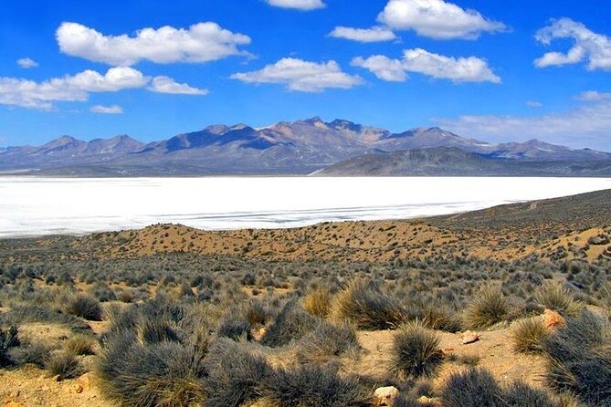 8-Hours Tour in Arequipa Laguna de Salinas with Pick-up - The optional hot springs are warm, not hot