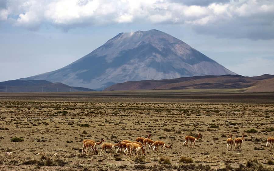 Adventure Day in Arequipa: Pillones Waterfall + Rock Forest - Lunch, return, and the real timetable