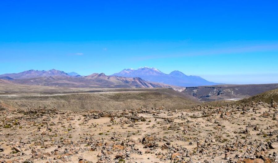 Andes: Colca Canyon Day-Trip - Waiting for the Andean Condor at Cruz del Condor