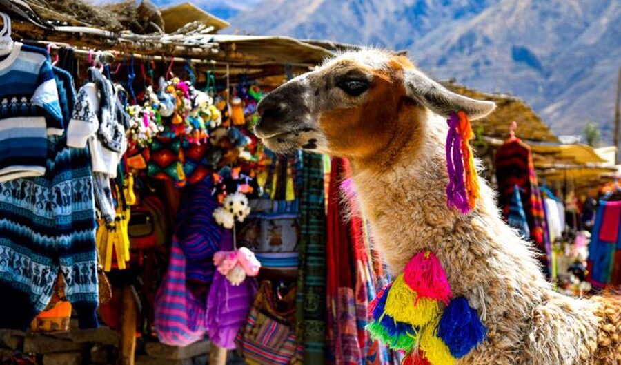 Andes: Colca Canyon Day-Trip - La Calera Hot Springs in Chivay