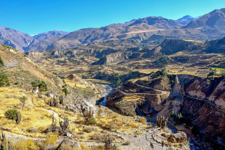 Andes: Colca Canyon Day-Trip - Lunch, the market, and Chivay’s main square