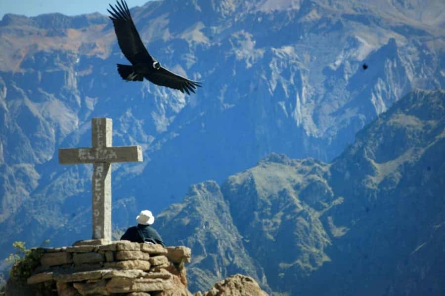 Arequipa: 1-Day Colca Canyon + Thermal Baths Tour - One hour for hot springs, a zipline, or a walk