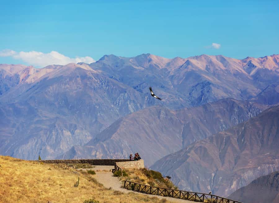 Arequipa: 2-Day Colca Canyon Classic Tour return to Arequipa - Chacapi hot springs and the evening show