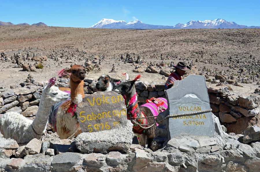Arequipa: 2-Day Colca Canyon Classic Tour return to Arequipa - Should you book it?