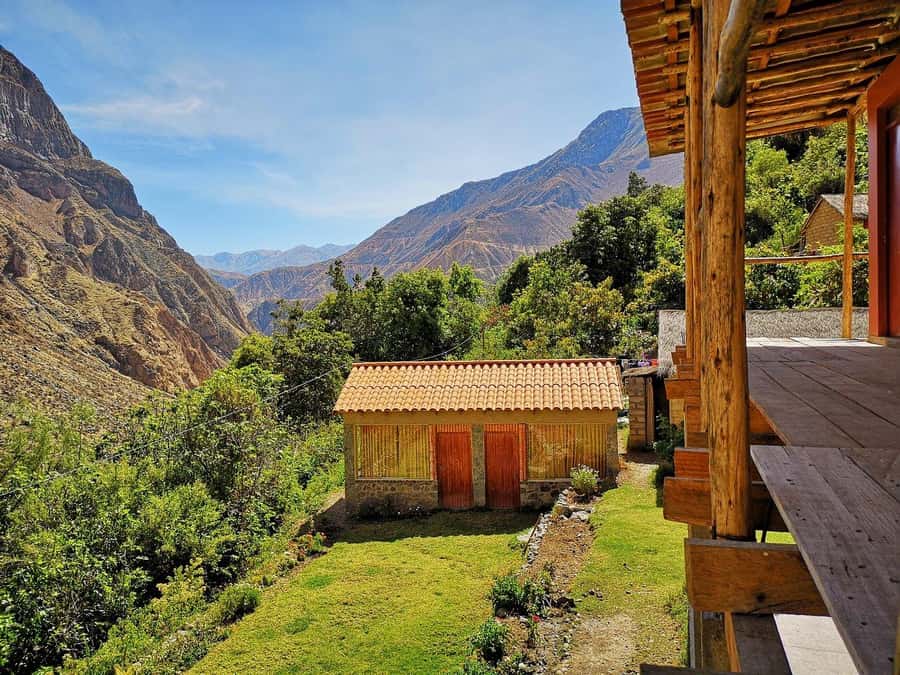 Arequipa: 2-day Colca Canyon Trekking, Ending in Puno - Cruz del Cóndor and the canyon from above