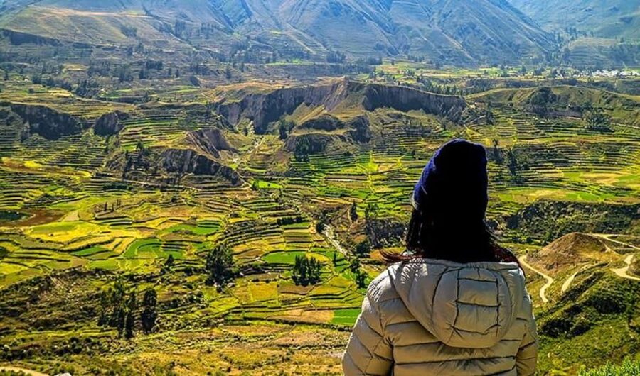Arequipa: City and Country Tour - Guide quality and the English option