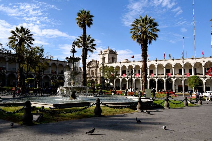 Arequipa: City and Country Tour - Incalpaca and four South American camelids