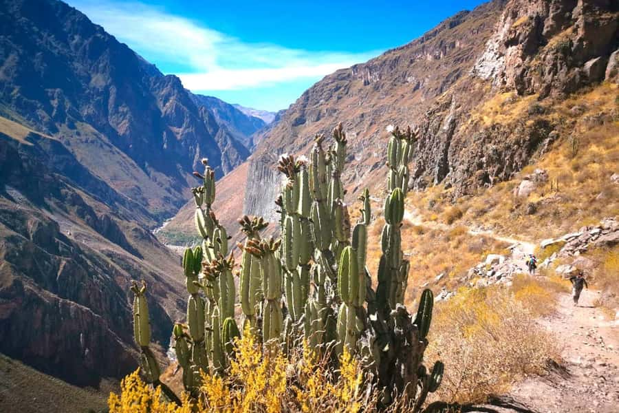 Arequipa : Colca Canyon 2-Day Adventure - Key points to know before booking