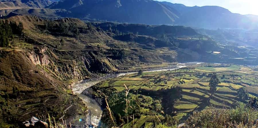 Arequipa : Colca Canyon 2-Day Adventure - Toccra Bofedales and the 4,900-meter viewpoint
