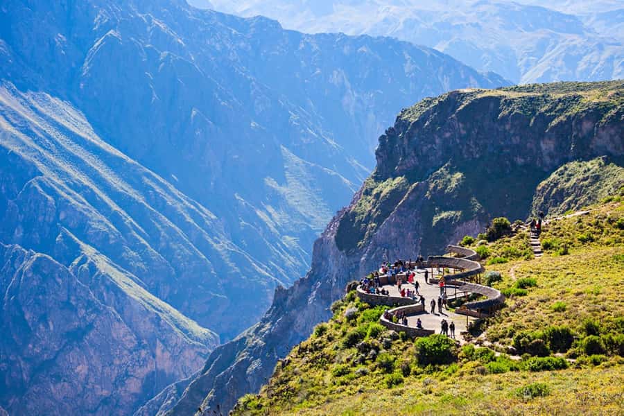 Arequipa : Colca Canyon 2-Day Adventure - Salinas and Aguada Blanca: vicuñas at high altitude