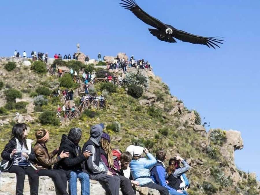Arequipa: Colca Canyon Trekking 2 days and 1 night + food - Cruz del Condor and the first view into the canyon