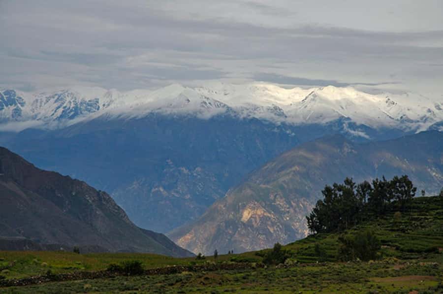 Arequipa: Colca Canyon Trekking 2 days and 1 night + food - Cosñirhua, Malata, and the last miles to Sangalle