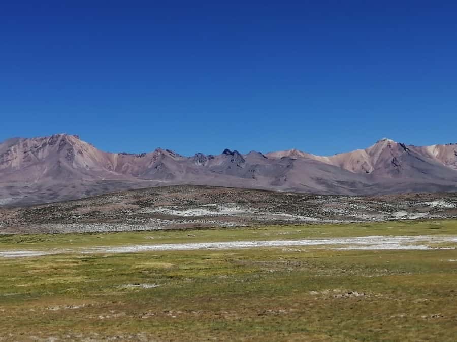 Arequipa: Full-Day Tour to Salinas Salt Lake - Chiguata viewpoint and breakfast with three volcanoes