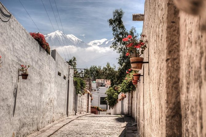 Arequipa, Historic and Colonial City and Santa Catalina Monastery - Guide quality and language