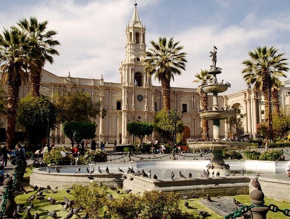 Arequipa Tasting Tour - Key points at a glance