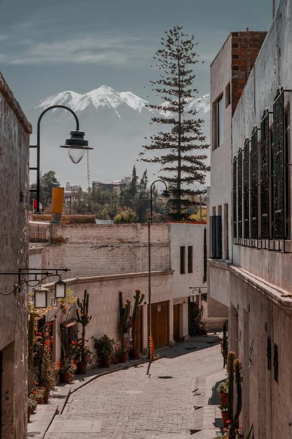 Arequipa: Walk through the Historic Center of the City - Key points to know before booking