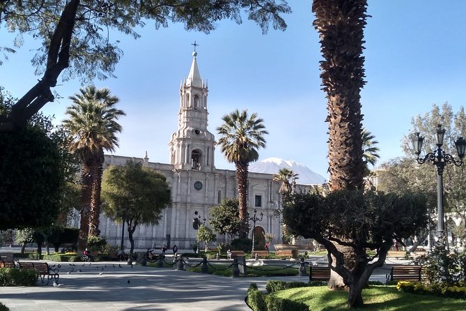Arequipa Walking Tour city center and drinks experience - Pace, heat, and the small-group advantage