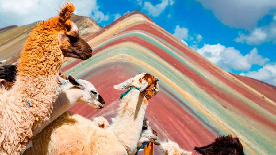 Arrive before the crowd to the Mountain in private service - The 1.5-hour walk to Rainbow Mountain