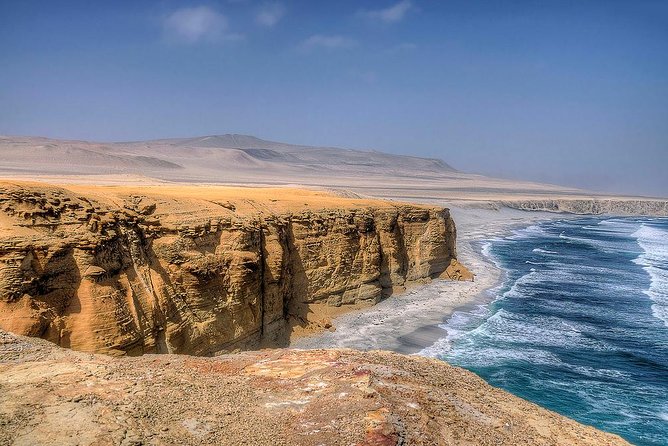 Ballestas island & Paracas reserve from PISCO CRUISESHIP TERMINAL - Who Should Book This Paracas Shore Excursion?