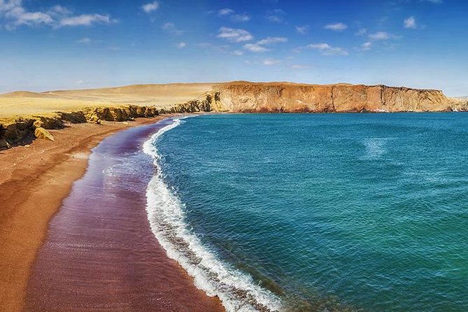 Ballestas island & Paracas reserve from PISCO CRUISESHIP TERMINAL - A Forty-Minute Break in Paracas