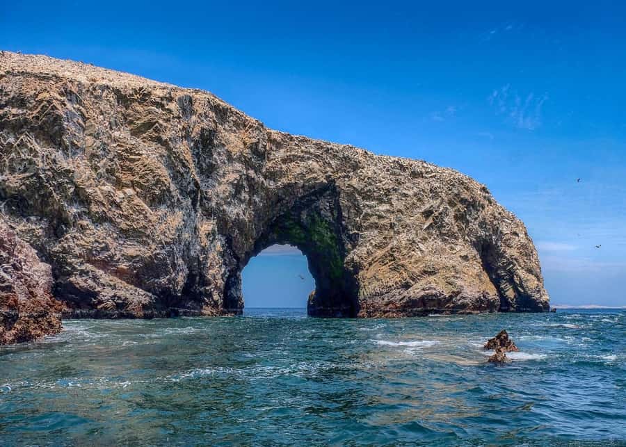Ballestas Islands and Huacachina Oasis Half-Day Tour - What to Bring and What to Know