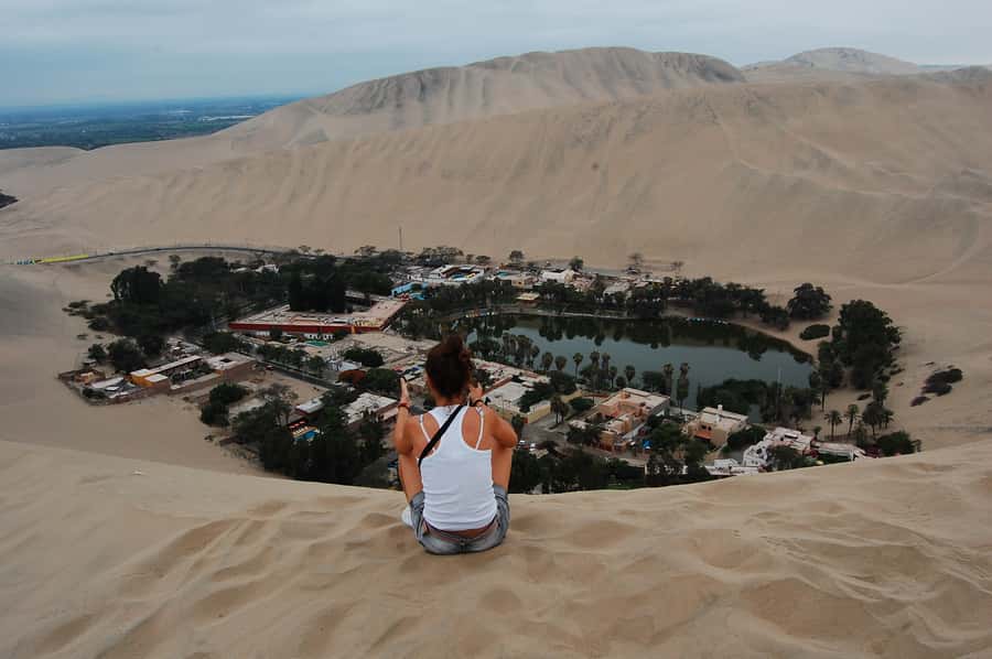 Ballestas Islands and Huacachina Oasis Half-Day Tour - Meeting the Wildlife of the Ballestas Islands