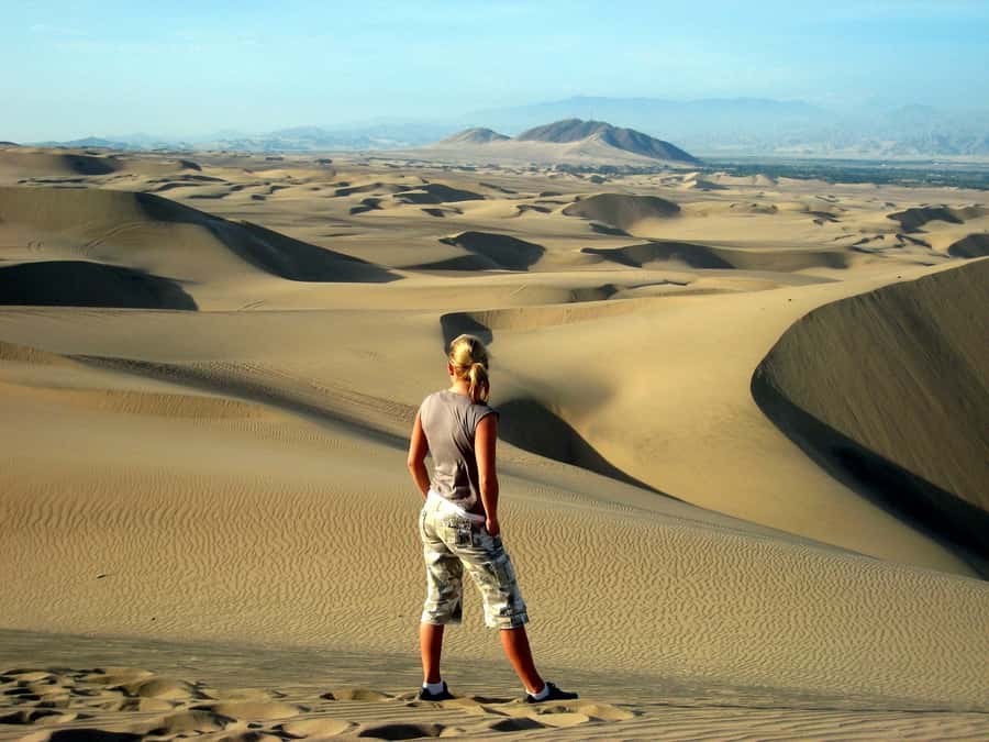 Ballestas Islands and Huacachina Oasis Half-Day Tour - Who Should Book This Experience?