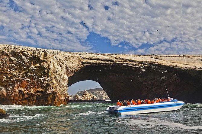 Ballestas Islands from San Martin Port CRUISESHIP TERMINAL - Why the Ballestas Islands are worth your port time