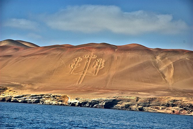 Ballestas Islands from San Martin Port CRUISESHIP TERMINAL - Meeting at San Martín Port at 9:15 a.m.