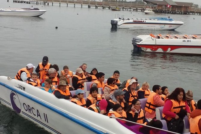 Ballestas Islands Group Tour from Paracas - Sea lions, penguins, and a lot of birds