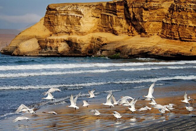 Ballestas Islands & National Reserve of Paracas from Ica - The Candelabro geoglyph from the sea