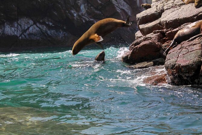 Ballestas Islands & National Reserve of Paracas from Ica - La Mina and the final reserve stops