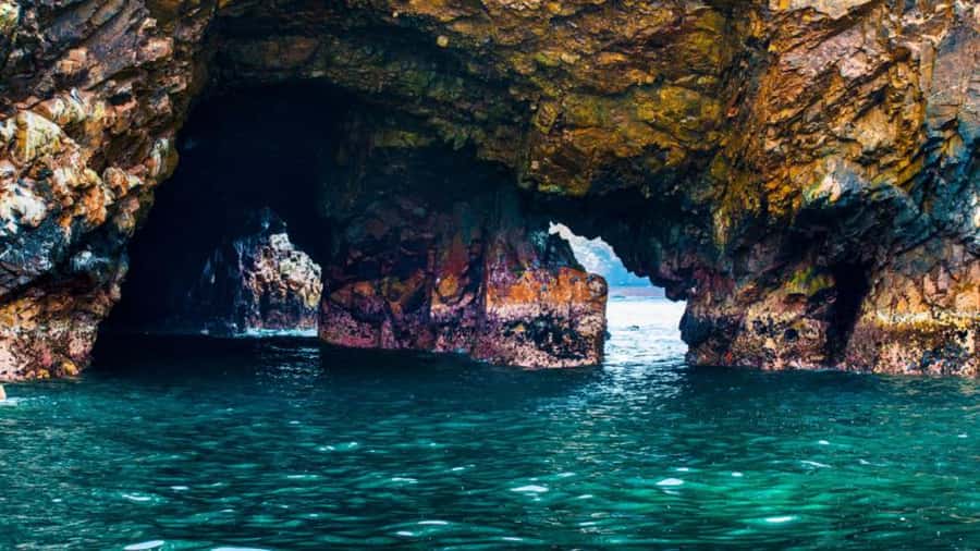 Ballestas Islands & Paracas National Reserve from Paracas - Key points to know before booking