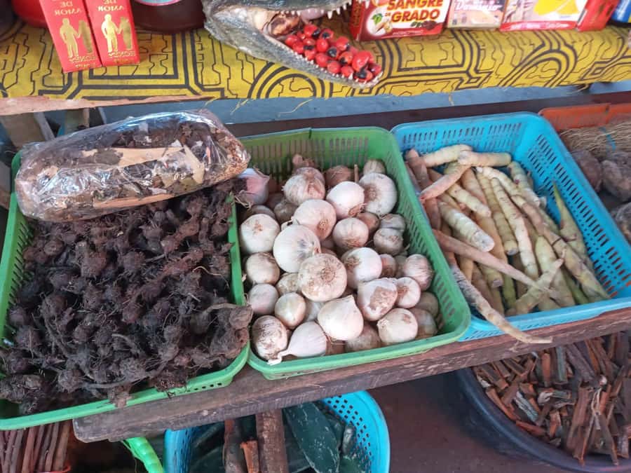 Belen Market & Floating City 2-3 Hour Private Tour - Who should book this experience?