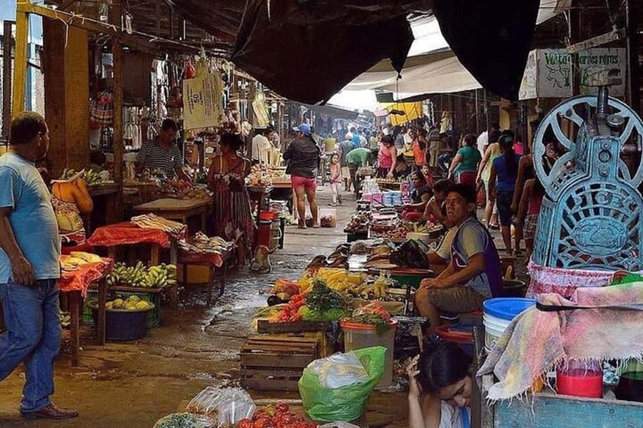 Belen Market & Floating City 2-3 Hour Private Tour - Should you book the Belen Market and Floating City tour?