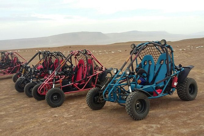 Buggy ride in Paracas National Reserve - Viewpoints, beaches, and the best photo stops