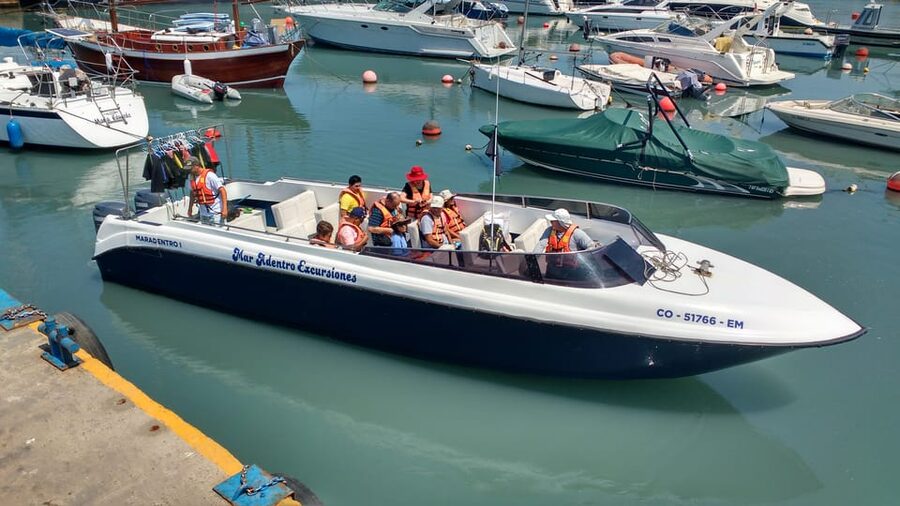 Callao: Swimming with Sea Lions Palomino Islands Boat Tour - Should you book the Palomino Islands boat tour?