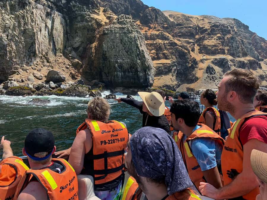 Callao: Swimming with Sea Lions Palomino Islands Boat Tour - El Camotal and San Lorenzo Island