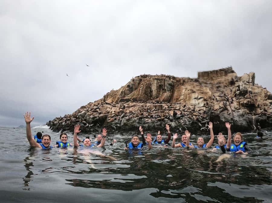 Callao: Swimming with Sea Lions Palomino Islands Boat Tour - From El Mirador to the open Pacific