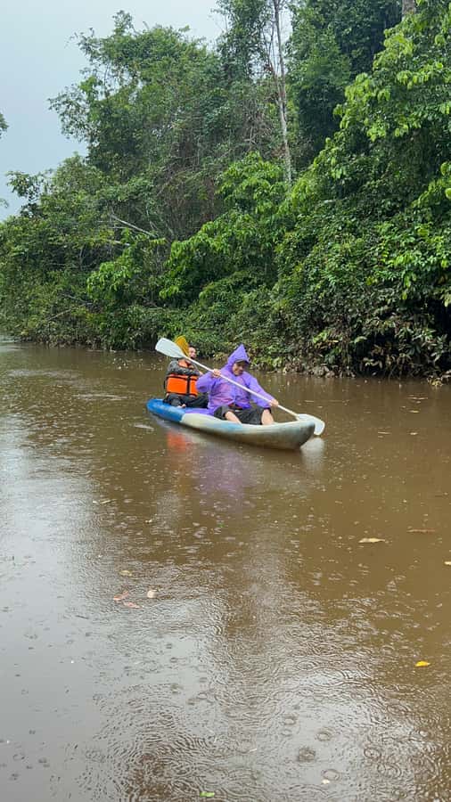 Canopy Tower, Zipline, Kayak, and Monkey Island … - From Puerto Maldonado to the 35-meter canopy tower