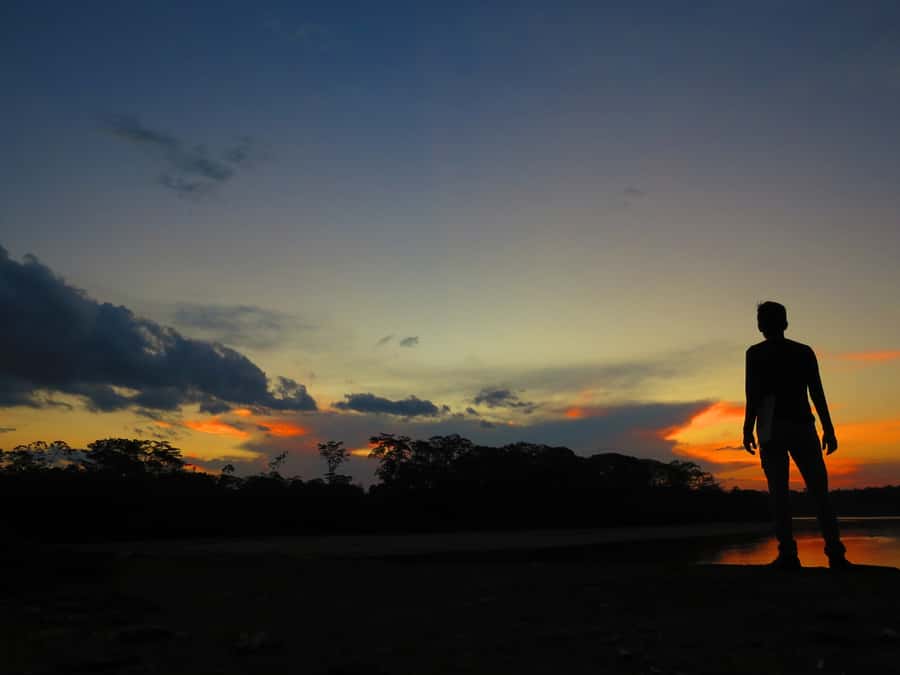Capibara and caiman search on the Tambopata river - Key points at a glance