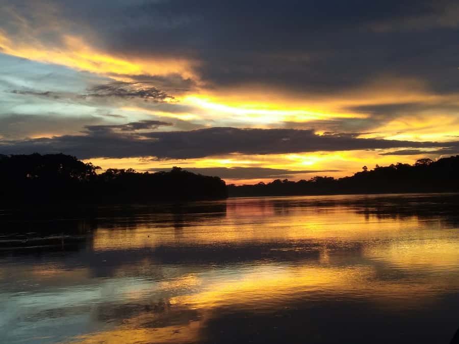 Capibara and caiman search on the Tambopata river - Setting out from Puerto Maldonado at 3:30 pm