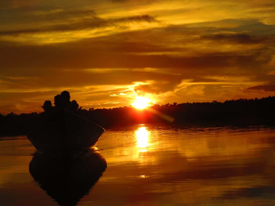 Capibara and caiman search on the Tambopata river - Searching for caimans and capybaras