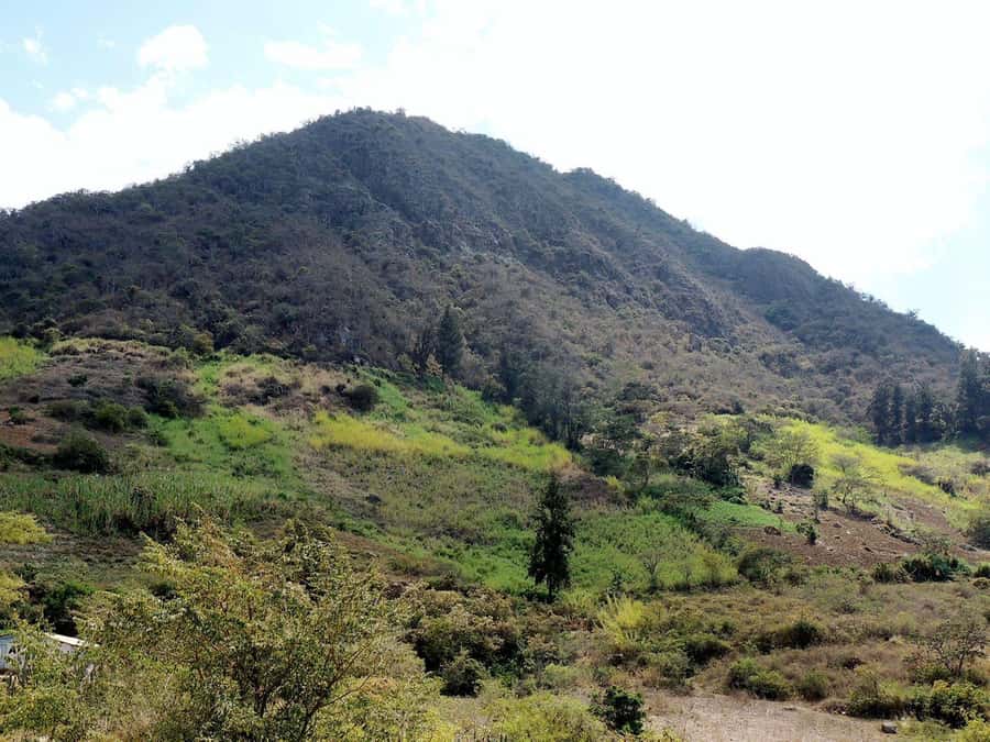 Chiclayo: Chaparri Ecological Reserve Tour - The drive through Chongoyape and into the dry forest