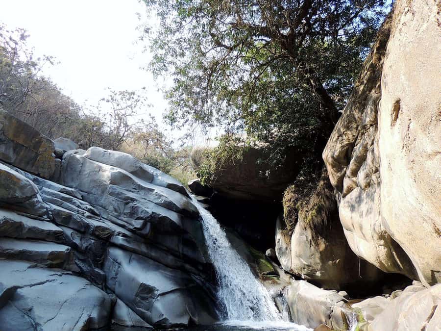 Chiclayo: Chaparri Ecological Reserve Tour - Price, language, and planning details