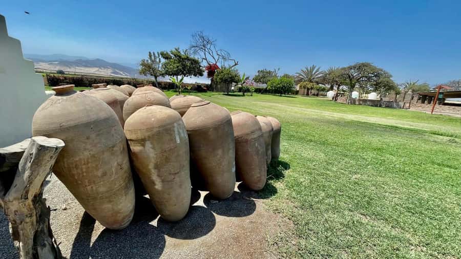 CITY TOUR ICA-HUACACHINA+BUGGIES IN PRIVATE CAR FROM PARACAS - Is $100 per person good value?
