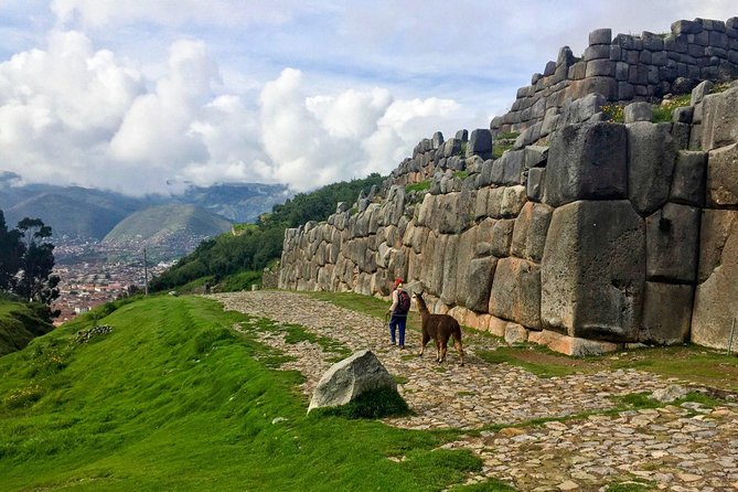City Tour in Cusco & visit Museum South American Camelid Private. - Q’enqo: carved stone and ritual questions
