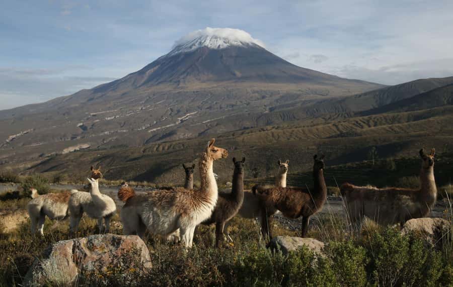 COLCA CANYON FULL DAY TOURS - Breakfast and the first look at Chivay